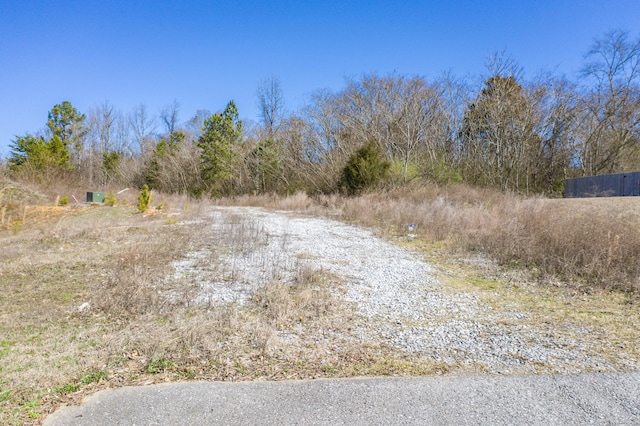 LOT78 Battle Bluff Dr, Rossville, GA 30741 - photo 41