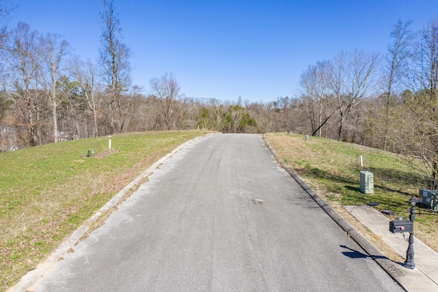 LOT78 Battle Bluff Dr, Rossville, GA 30741 - photo 4
