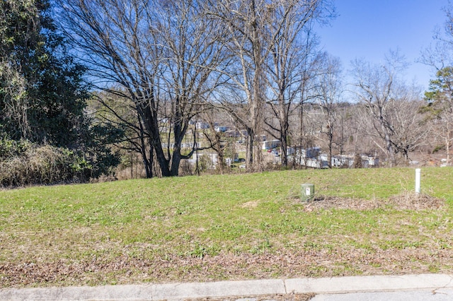 LOT78 Battle Bluff Dr, Rossville, GA 30741 - photo 25