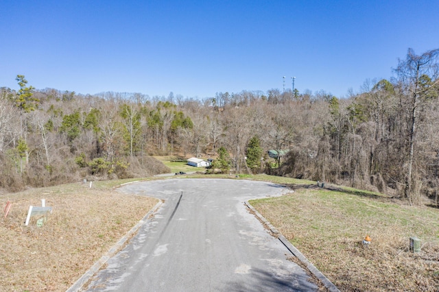 LOT78 Battle Bluff Dr, Rossville, GA 30741 - photo 40