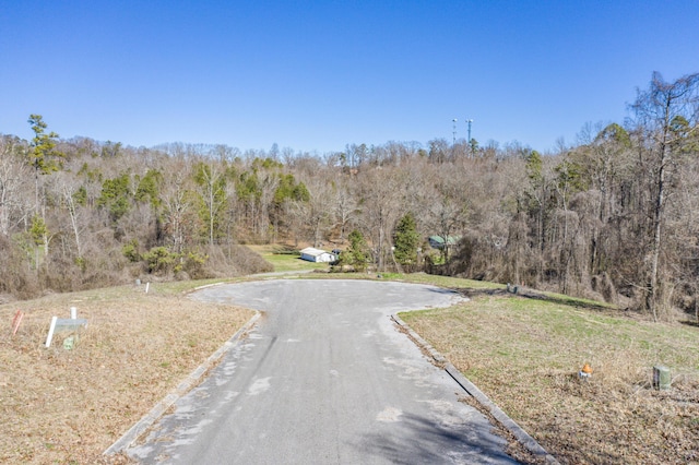 LOT78 Battle Bluff Dr, Rossville, GA 30741 - photo 39