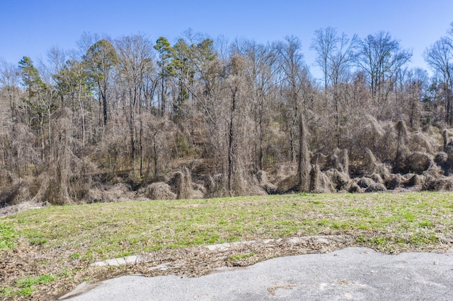 LOT78 Battle Bluff Dr, Rossville, GA 30741 - photo 13