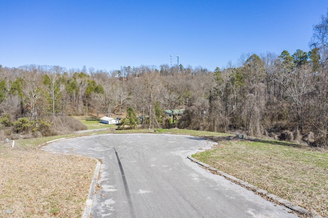 LOT78 Battle Bluff Dr, Rossville, GA 30741 - photo 36