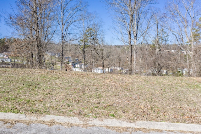 LOT78 Battle Bluff Dr, Rossville, GA 30741 - photo 21