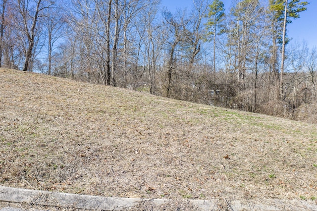 LOT78 Battle Bluff Dr, Rossville, GA 30741 - photo 15