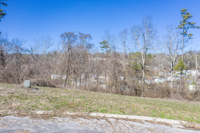 LOT78 Battle Bluff Dr, Rossville, GA 30741 - photo 7
