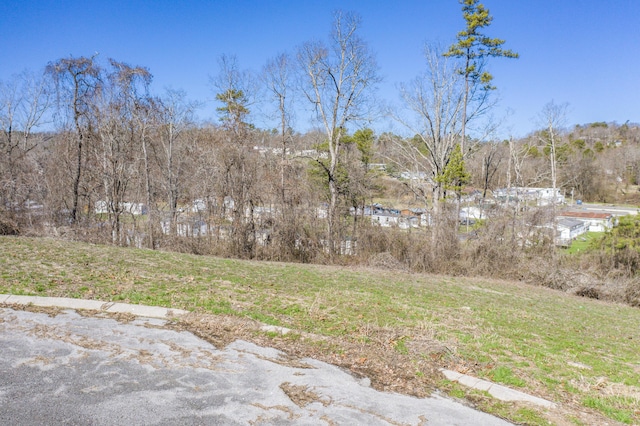 LOT78 Battle Bluff Dr, Rossville, GA 30741 - photo 14
