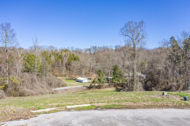 LOT78 Battle Bluff Dr, Rossville, GA 30741 - photo 6