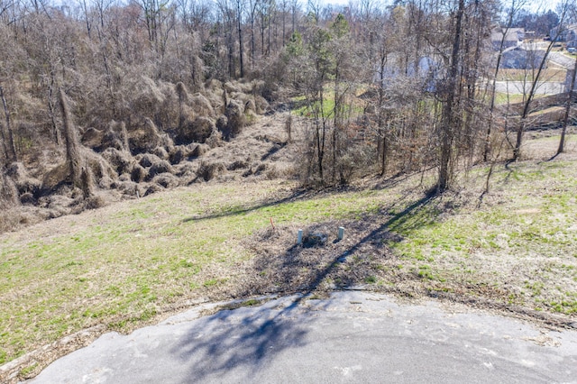 LOT78 Battle Bluff Dr, Rossville, GA 30741 - photo 10