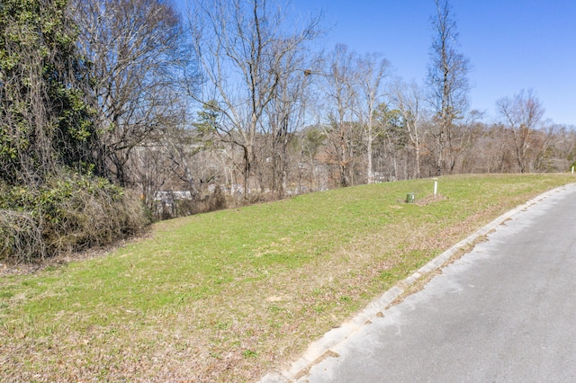 LOT78 Battle Bluff Dr, Rossville, GA 30741 - photo 37