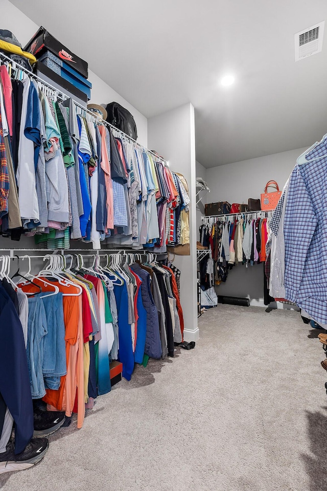 spacious closet featuring carpet flooring