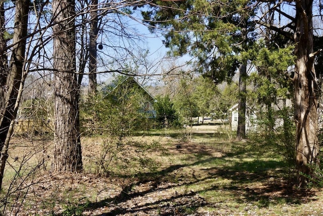 view of landscape