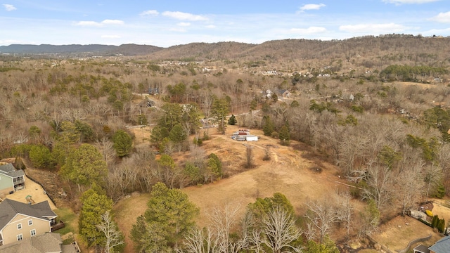 aerial view with a mountain view