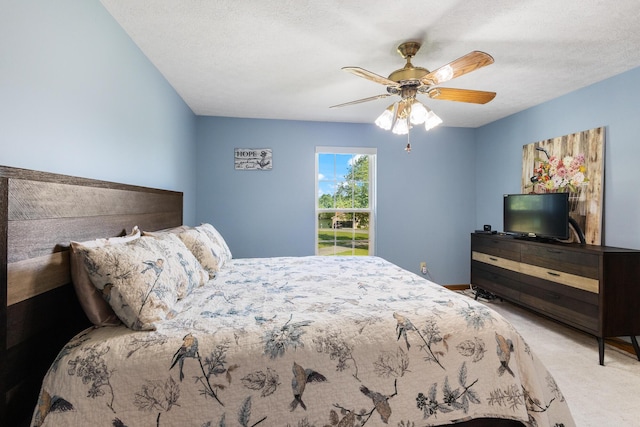 171 Cherokee Cir, Ten Mile, TN 37880 - photo 19