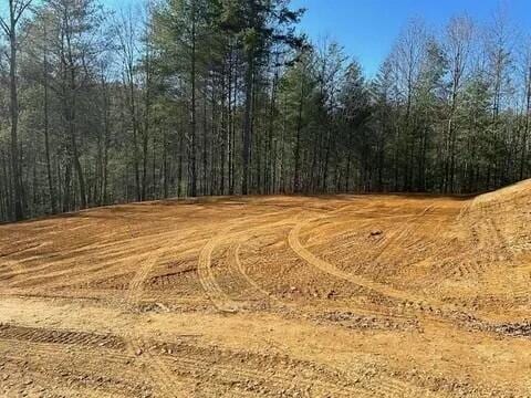 1079 Towee Pike, Reliance TN, 37369 land for sale