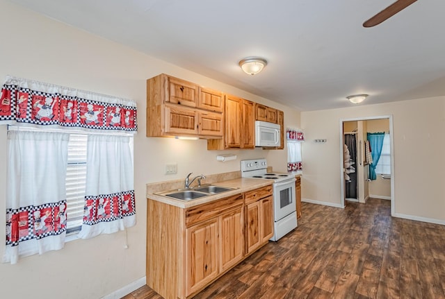 kitchen featuring dark wood-style flooring, light countertops, a healthy amount of sunlight, a sink, and white appliances