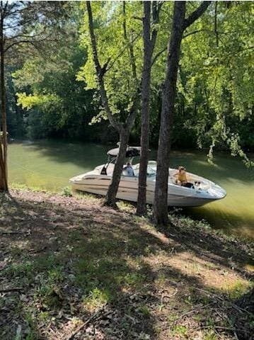 view of yard with a dock