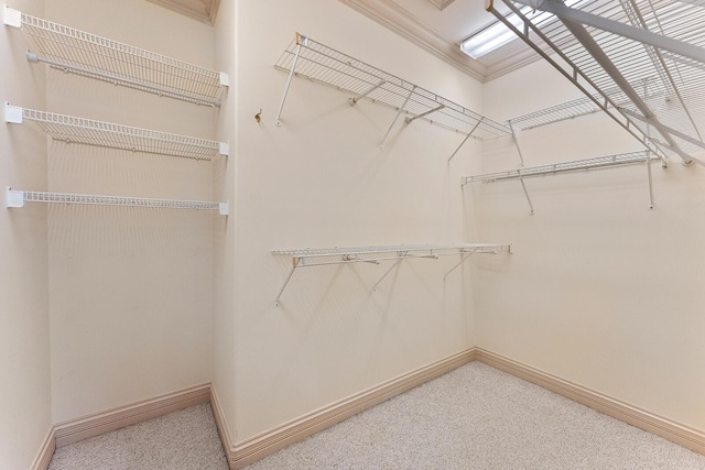 walk in closet with carpet flooring