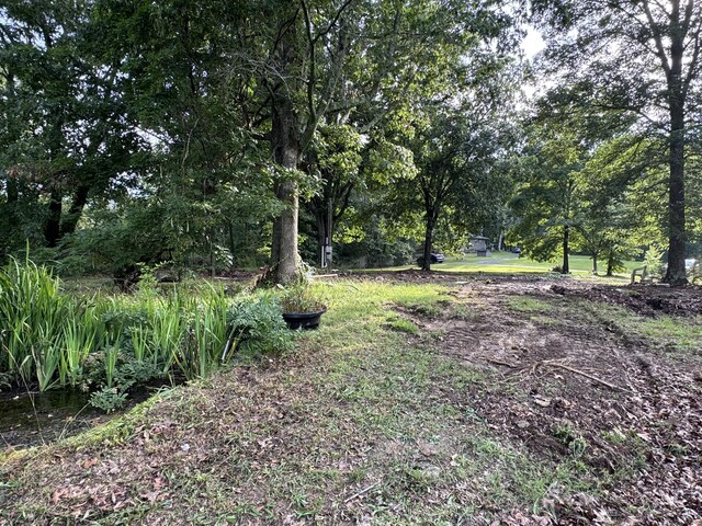 197 Julius St, Mcdonald, TN 37353 - photo 9