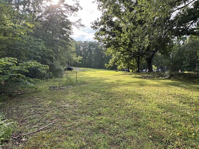 197 Julius St, Mcdonald, TN 37353 - photo 7