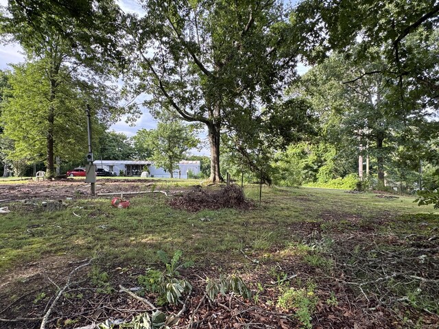 197 Julius St, Mcdonald, TN 37353 - photo 3