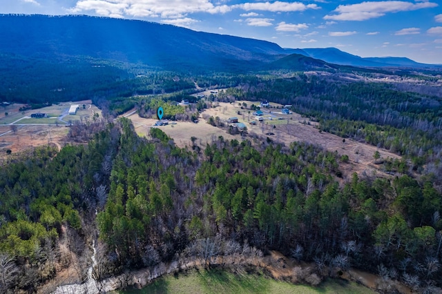 bird's eye view with a mountain view