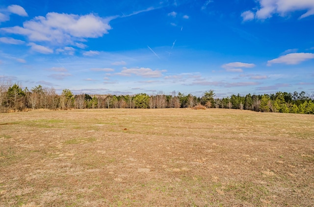 view of local wilderness featuring a rural view