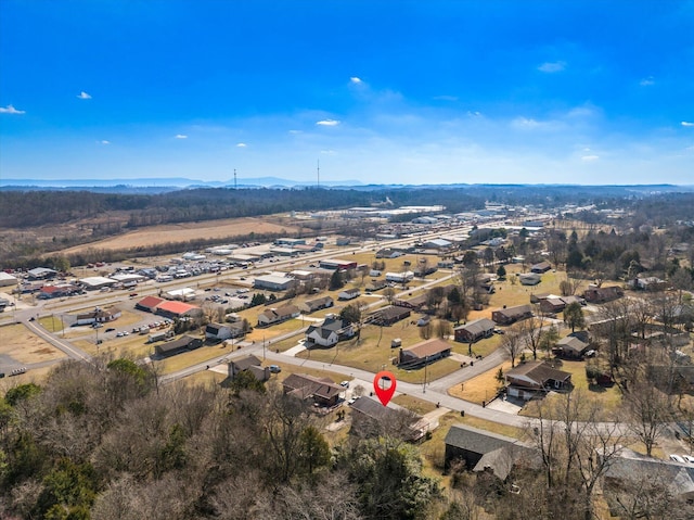 birds eye view of property featuring a mountain view