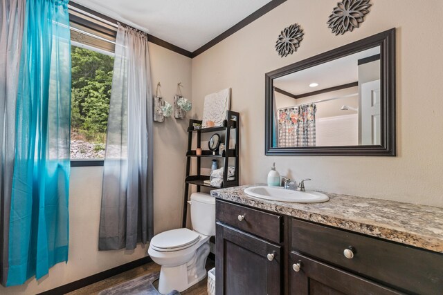 308 S Crisp Ln, Decatur, TN 37322 - bathroom featuring ornamental molding, wood finished floors, toilet, vanity, and curtained shower