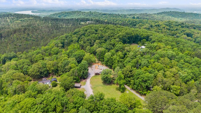308 S Crisp Ln, Decatur, TN 37322 - drone / aerial view of a forest
