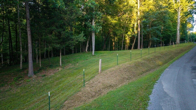 0 Wooten Rd, Delano, TN 37325 - photo 2
