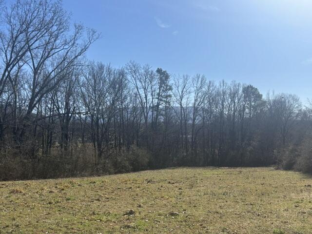 1852 County Road 609, Etowah TN, 37331 land for sale