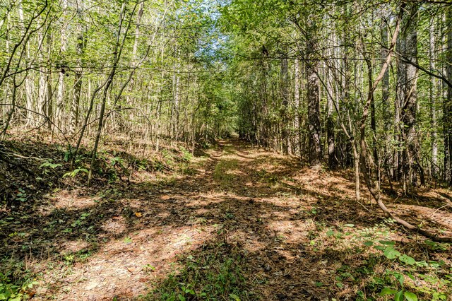 00 O B Davis Rd, Delano, TN 37325