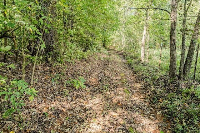 00 O B Davis Rd, Delano, TN 37325