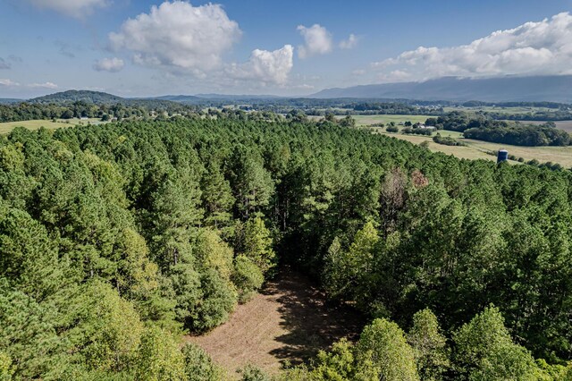 00 O B Davis Rd, Delano, TN 37325