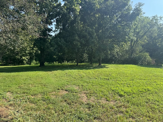 138 County Road 221, Athens, TN 37303 - photo 10