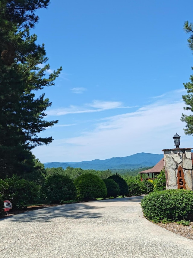 156 Pine View Ln, Copperhill, TN 37317 - mountain view