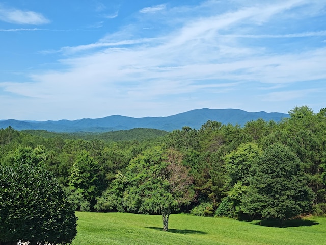 156 Pine View Ln, Copperhill, TN 37317 - view of mountain backdrop with a forest