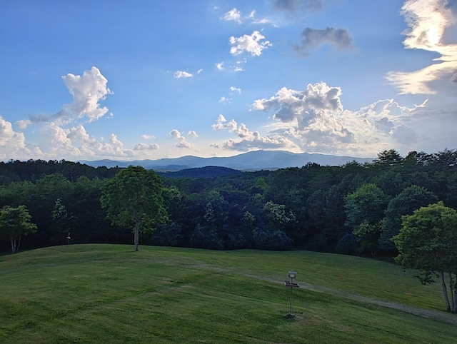 156 Pine View Ln, Copperhill, TN 37317 - view of mountain background with a forest