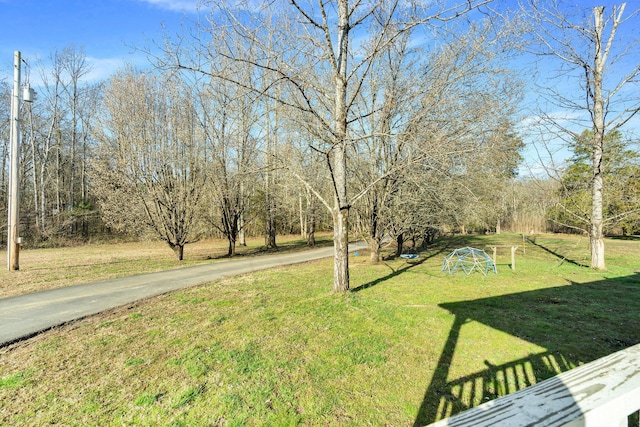 145 County Road 853, Delano, TN 37325 - photo 40