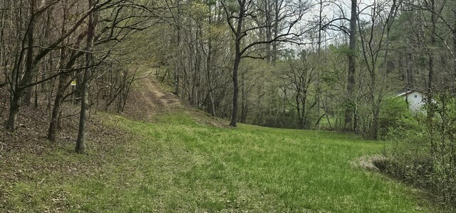 337 Price Rd, Reliance, TN 37369 - photo 4