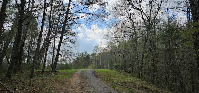 337 Price Rd, Reliance, TN 37369 - photo 22