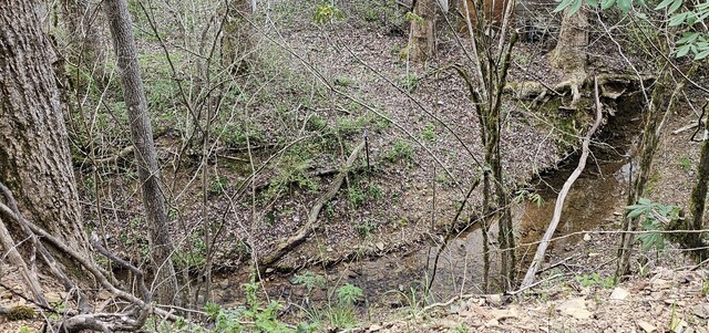 337 Price Rd, Reliance, TN 37369 - photo 15
