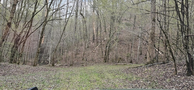 337 Price Rd, Reliance, TN 37369 - photo 14