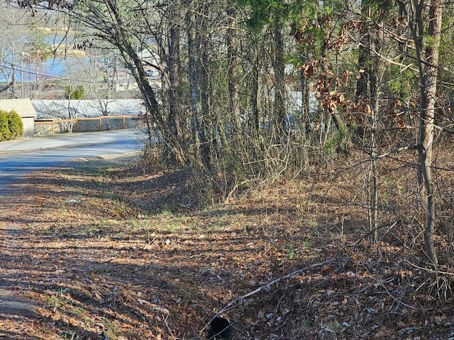 Listing photo 3 for LOT8 Kittiwake Pl NW, Georgetown TN 37336