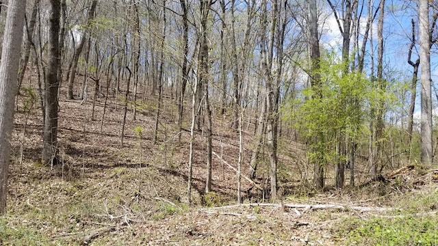 LOT286 Maple Dr, Spring City TN, 37381 land for sale