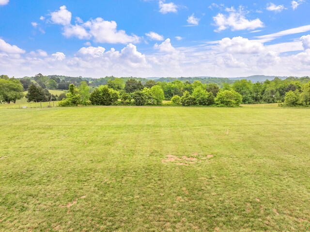 LOT2 County Road 313, Sweetwater, TN 37874 - photo 8