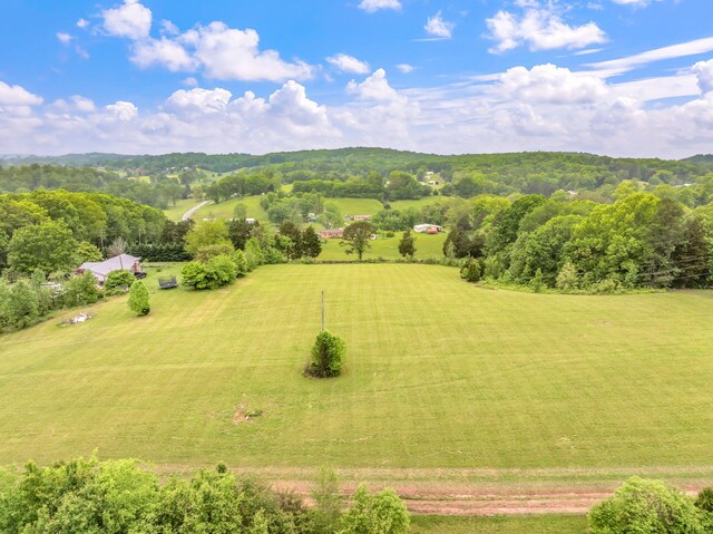 LOT2 County Road 313, Sweetwater, TN 37874 - photo 5