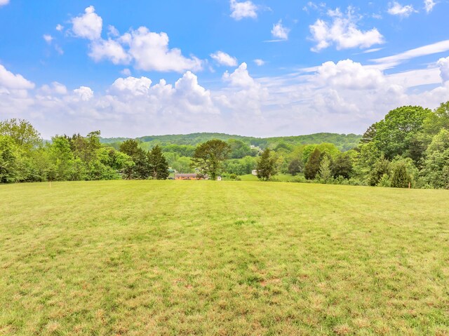 LOT2 County Road 313, Sweetwater, TN 37874 - photo 13