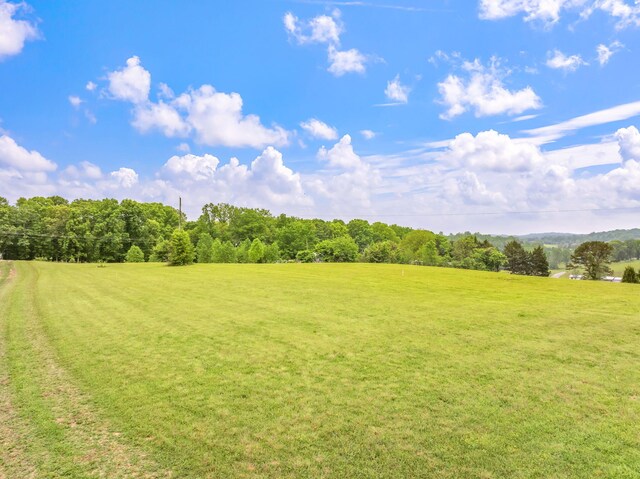LOT2 County Road 313, Sweetwater, TN 37874 - photo 10